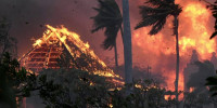 Wildfires, rising heatwaves, hurricanes: Climate change's global impact
